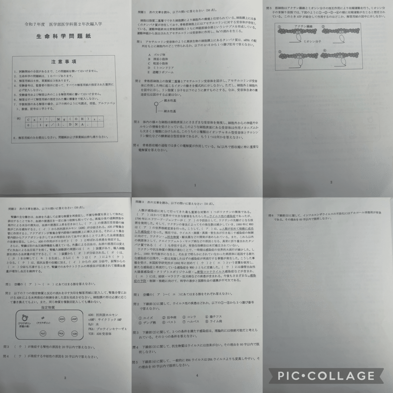 picture_pc_003b76d442eb555fc91