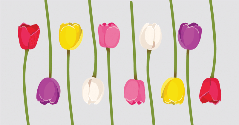 咲けるスキルの育て方💐5STEP フリーランスになるまで、ひたすら繰り返したこと