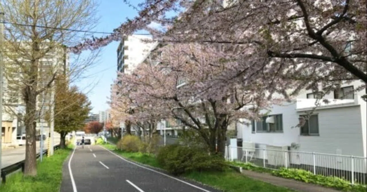 白石 区