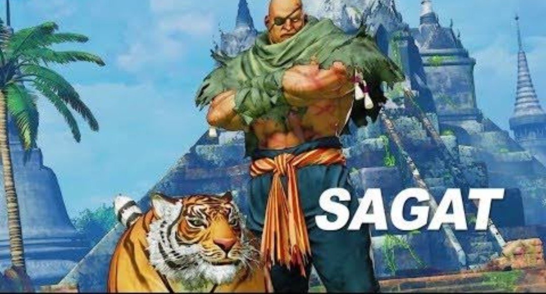 キャラ対策 サガット みすぶるーす Note