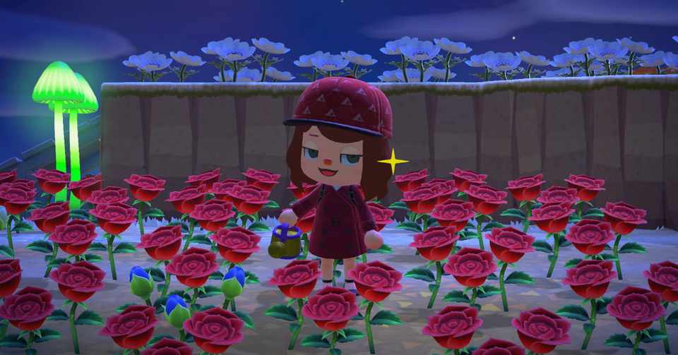 私はバラ農家になりたい あつ森 とがき ふじわら Note