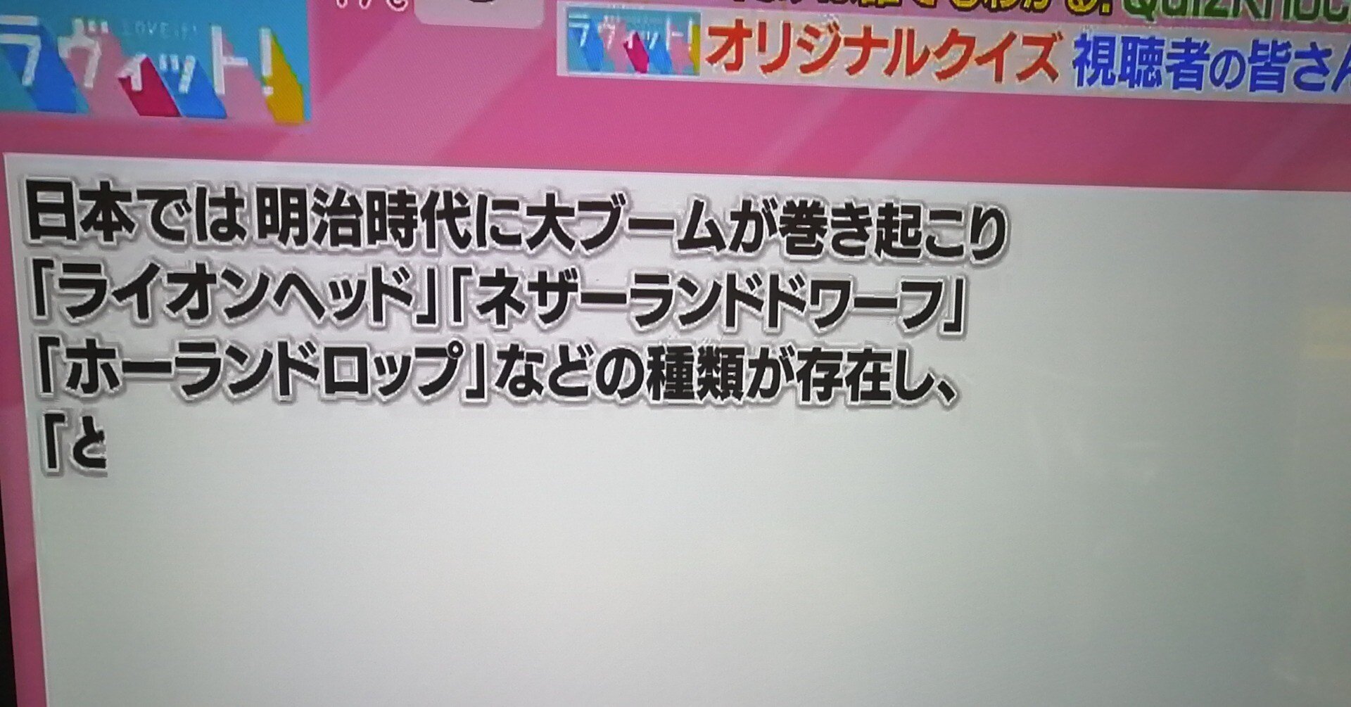 ᐢ..ᐢ₎うさぎ中毒検定2｜mike