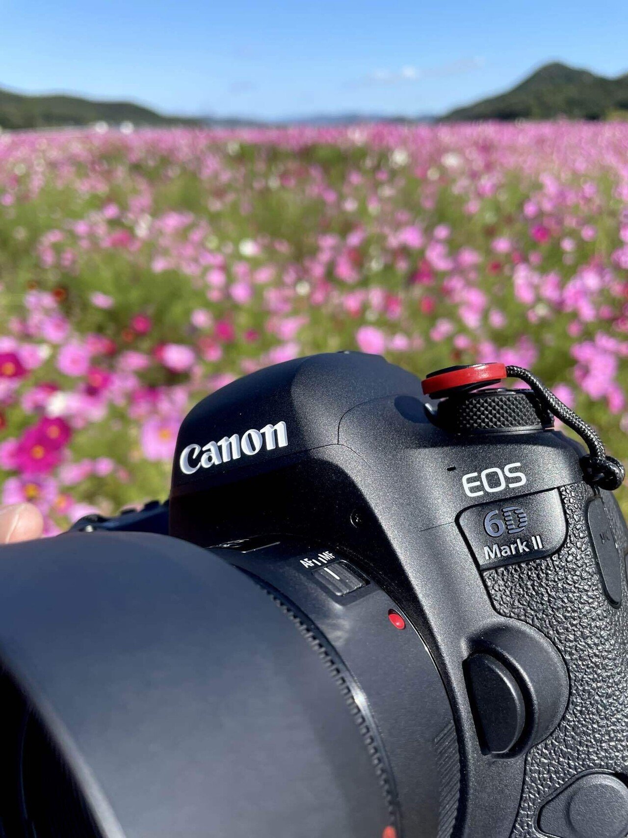 久しぶりにEOSを持って｜rurokame_z502