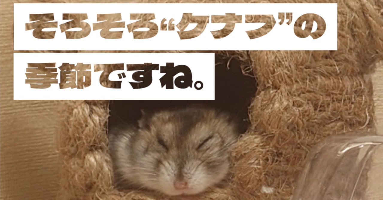 冬支度①】ハムスター初心者。勢いで“ケナフ”を買う。｜“じゃがとぺ 