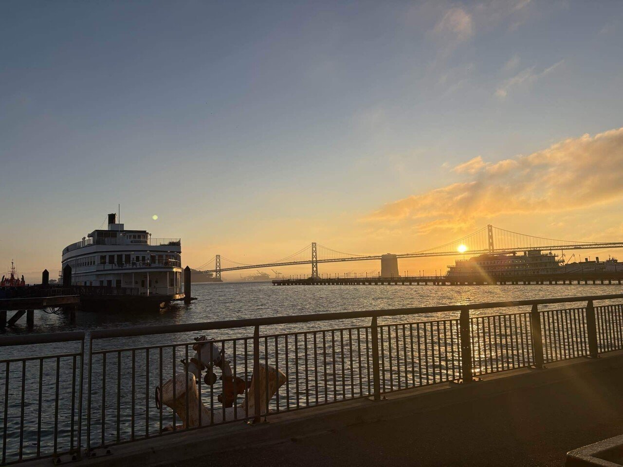 サンフランシスコへ向かう途中で生還 サンフランシスコ朝散歩｜渡り猫