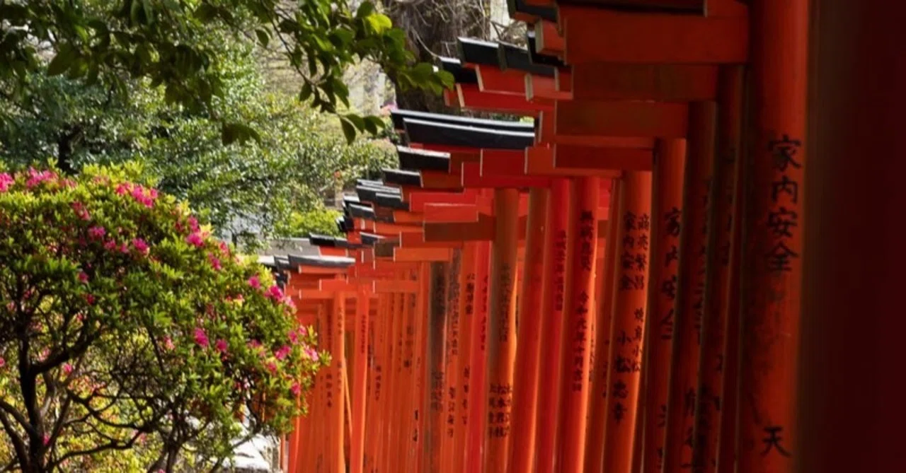江戸のお稲荷シリーズ7 根津神社内 乙女稲荷神社｜MARKO