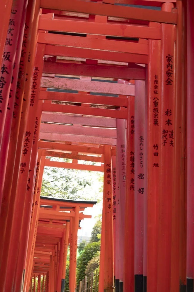 江戸期　稲荷 江戸のお稲荷シリーズ7 根津神社内 乙女稲荷神社｜MARKO