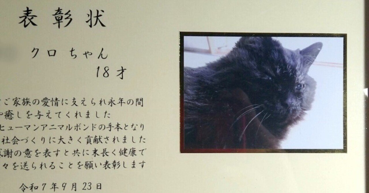 ねこ（くろ18歳♀ シニア）について｜くろねこやま/ボカロP