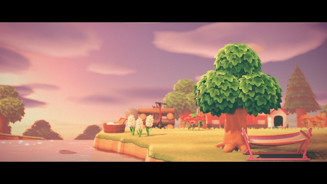 あつまれどうぶつの森 カメラの話させて ひたちえぼ Note あつまれどうぶつの森 カメラの話させて ひたちえぼ Note