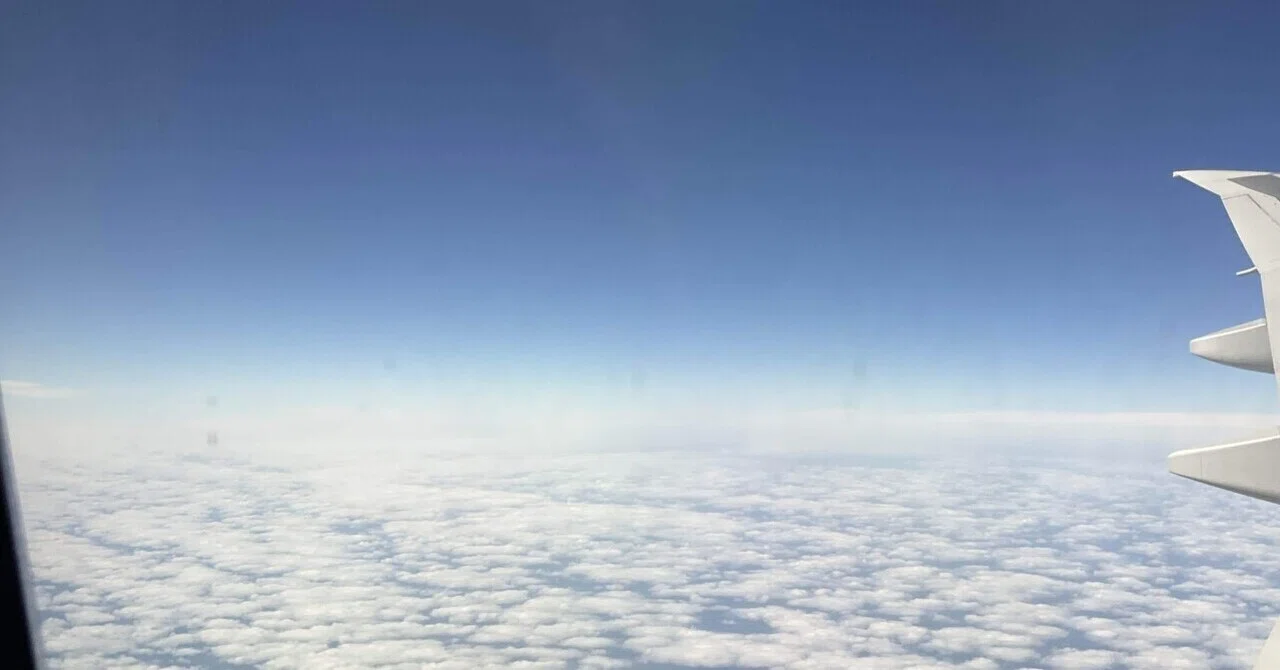 飛行機のコードシェア便って？ ｜pikmos