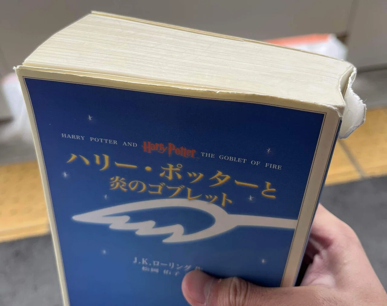 日報】俺は3週間かけて「ハリー・ポッター」シリーズを一気読み&一気見 