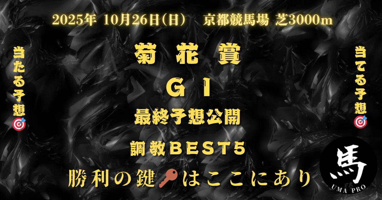 Kikuka Sho G1: 5 Keys to Victory🔑 Best 5 Training Horses🏇 Pro Horse ...