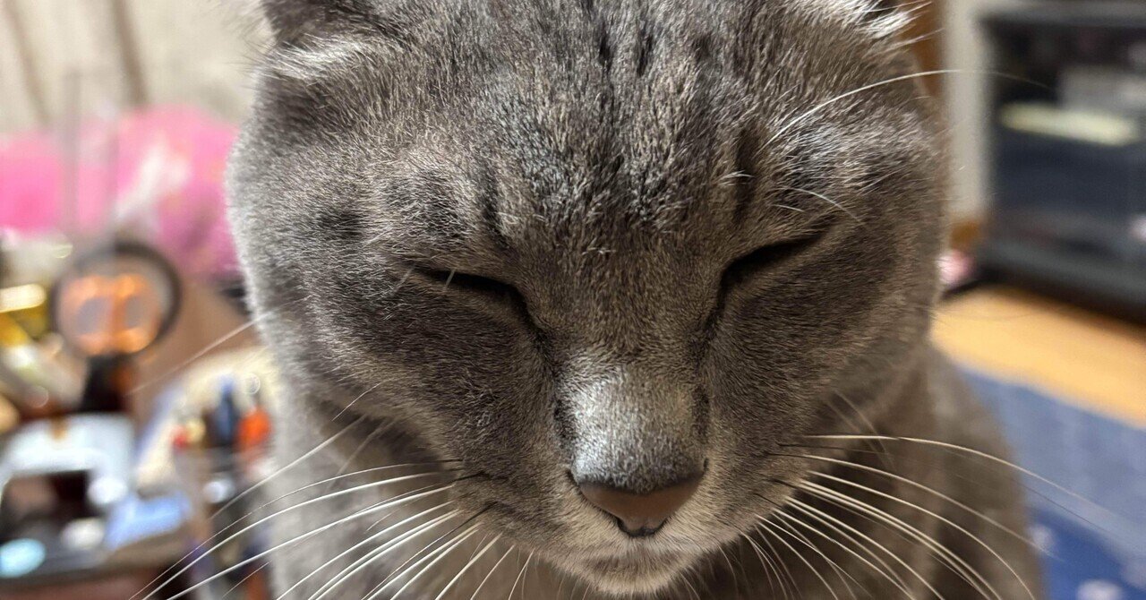 きょうの聡太くんとプレイバックたまちゃん 2025/10/24｜金澤流都