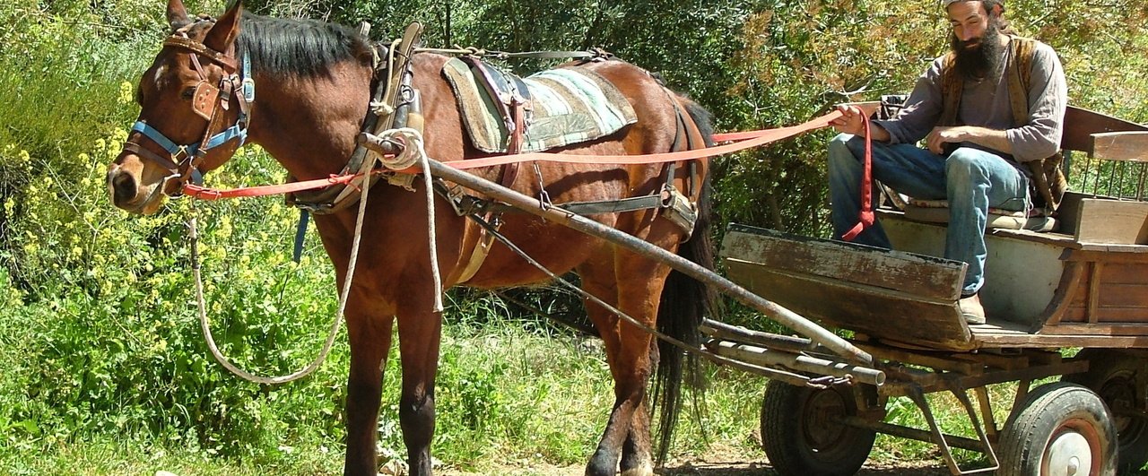 荷馬車｜iwata kenichi