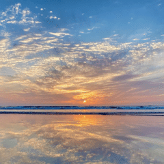 読書感想文】不思議な感覚が残る絵本『のらいぬ』絵・谷内こうた 文