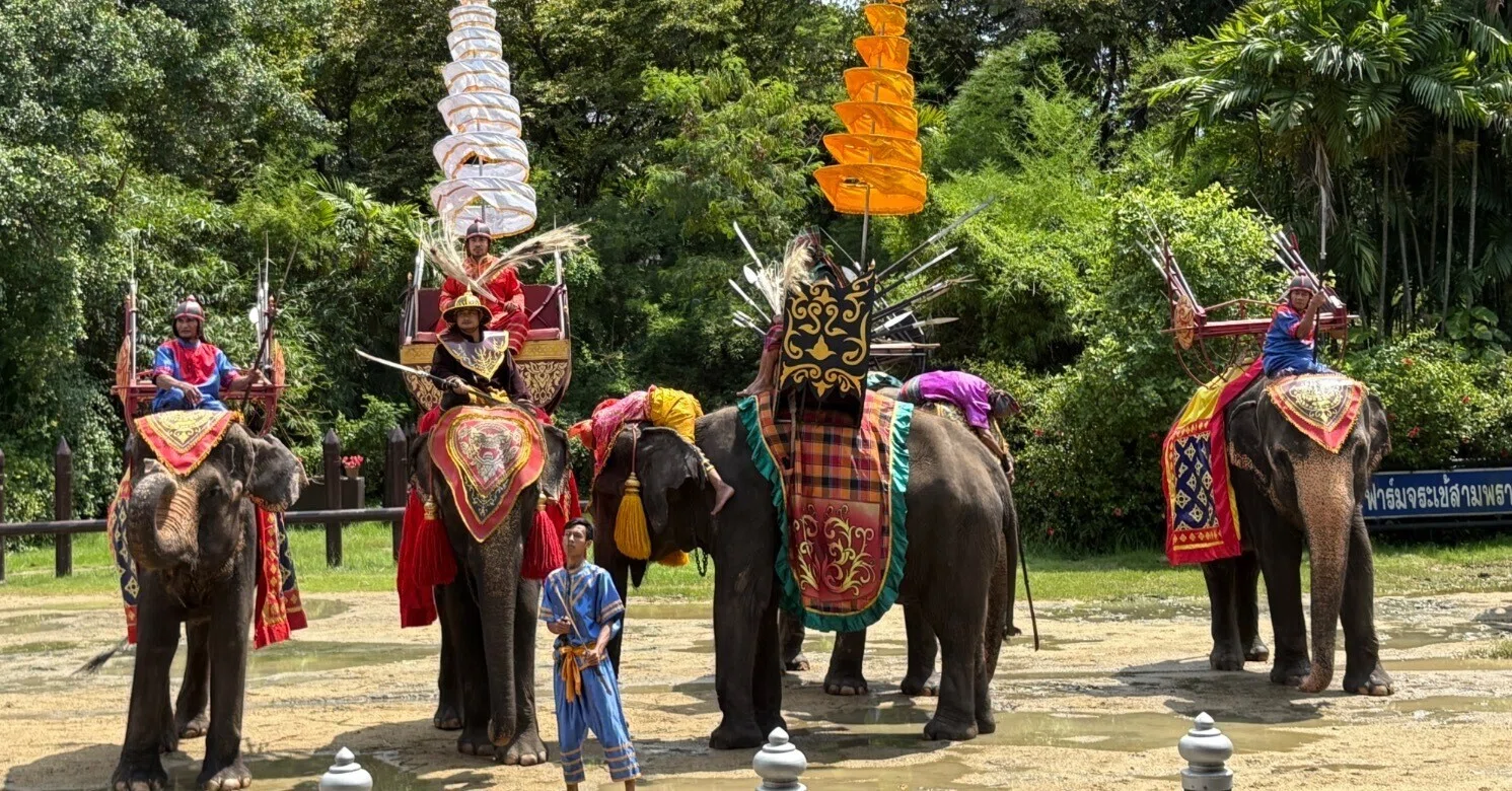 🐘 旅3日目：サンプラーン・エレファント・グランド＆ズー｜Ringo