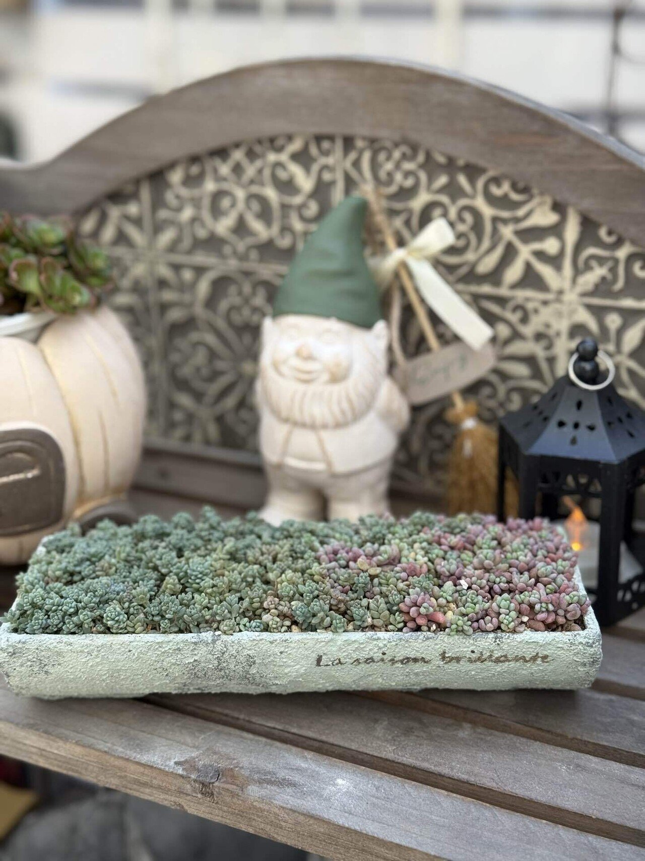 彩りnote7.10.22【パープルヘイズの雨どい寄せ植え】｜__bebe 𓇗 ⚚ 𓇚