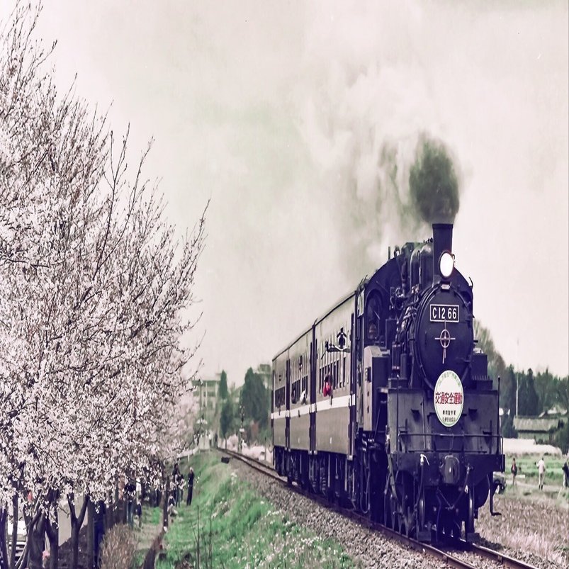 v142, 真岡鐵道：SLもおか-桜 （1993年）｜ひろやん