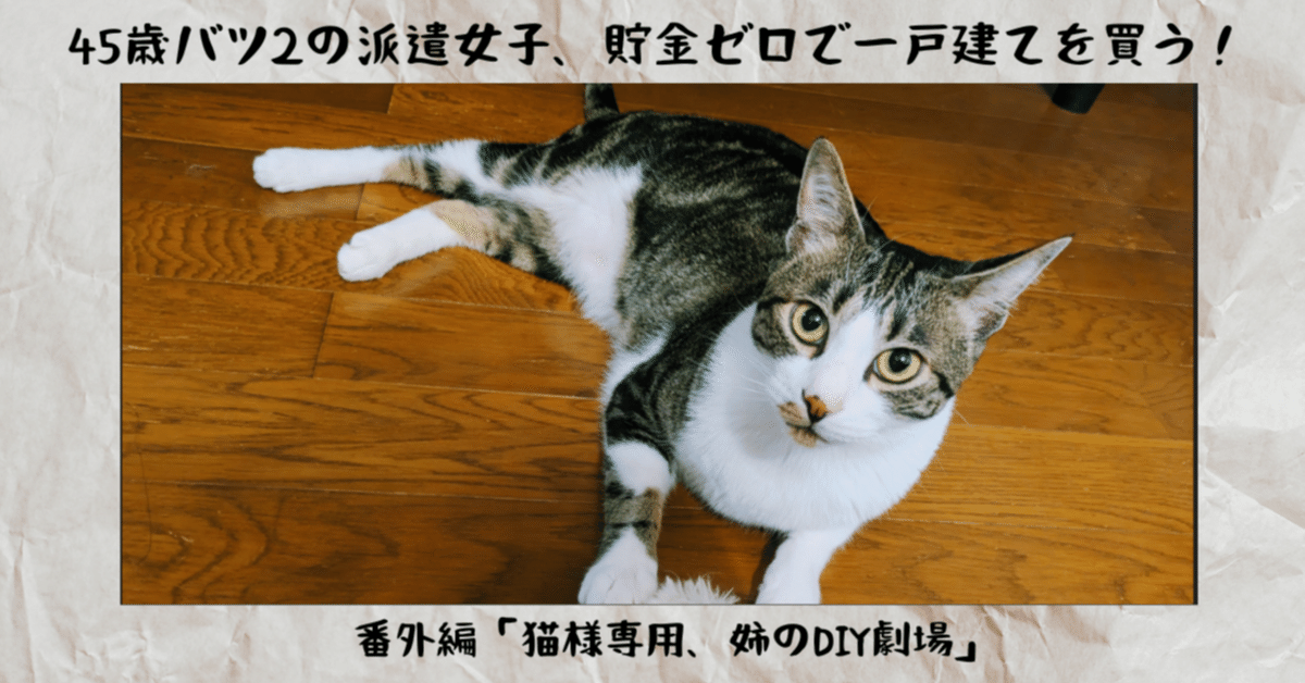 猫さん専用 添加剤2本 猫さん専用 添加剤2本 20 車・