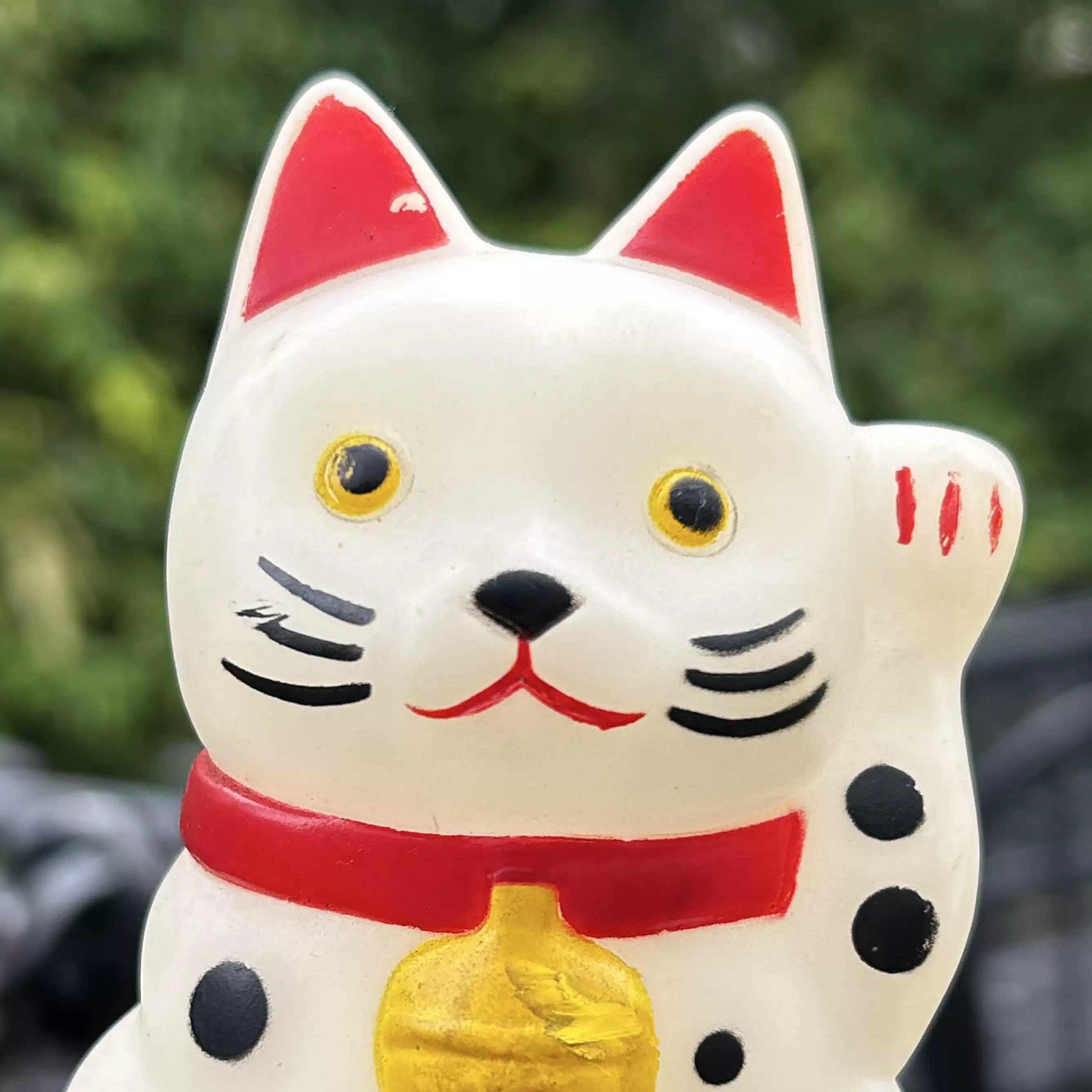 こしけん　ただいま捨て活中