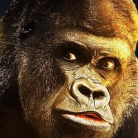 オレたちは伊達や酔狂でシェアハウスをやっているのか Yasunori Note