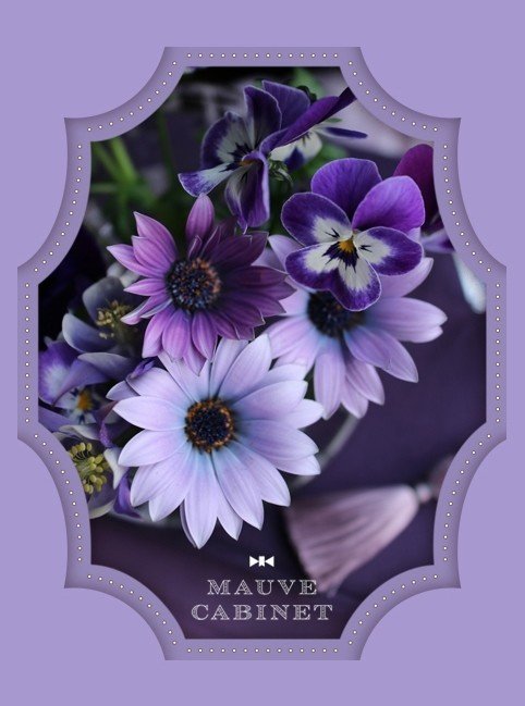 レース模様の図書室｜黒木こずゑ様のご紹介｜｜MAUVE CABINET