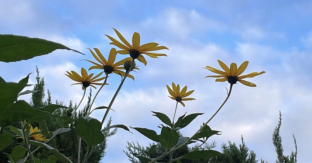 原点にかえる|ちるの画像