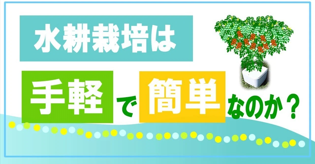 Is Hydroponics Simple and Easy?｜とまとん母さんの水耕栽培いろんなこと