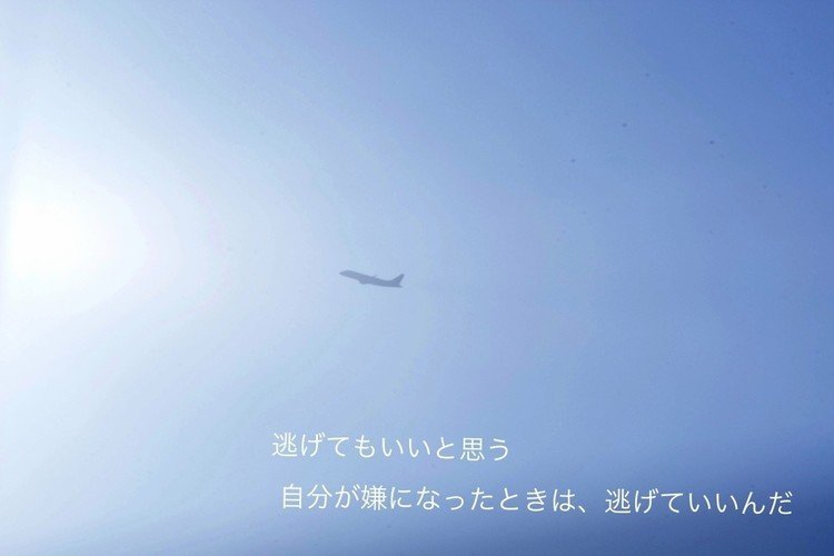 つらいときは
逃げてもいいの
全て正しいものなんてないから
#今日のつぶやき #写真 #飛行機
