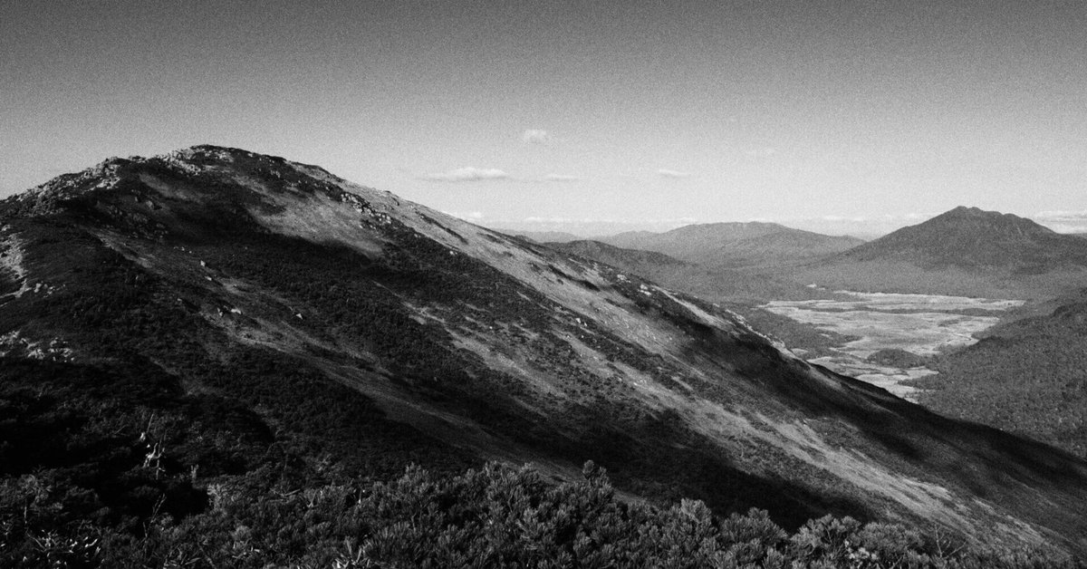 モノクロ自然風景画 金色フレーム Amazon.com - Golden State Art