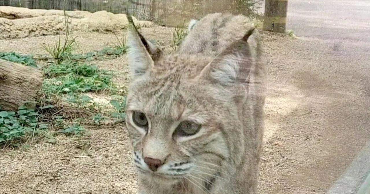 ひさびさの王子動物園｜のぶう