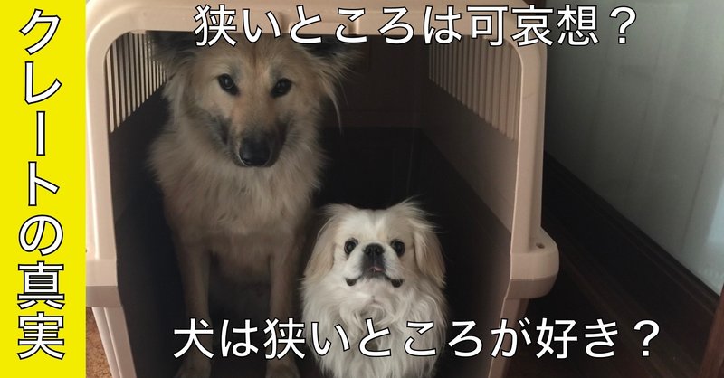 犬とクレートの真実！