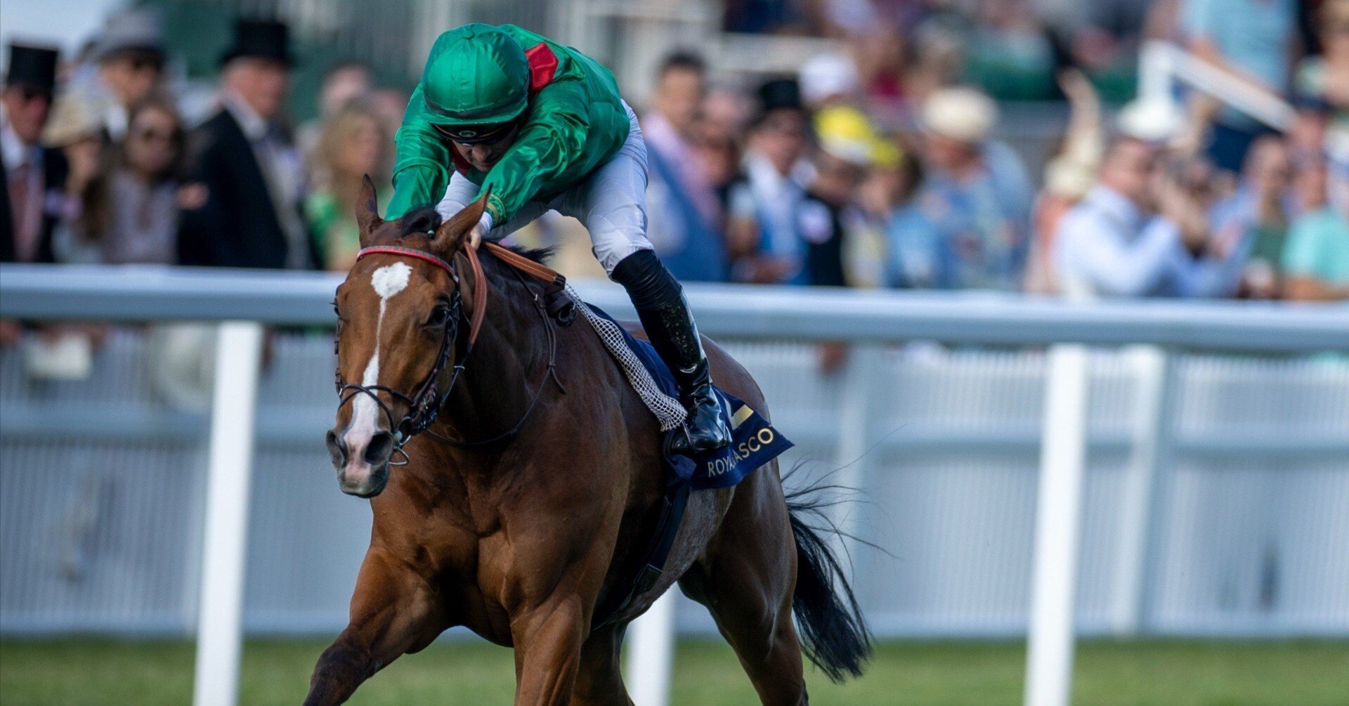 76d0b8e22dc01b377df531640b1eb3