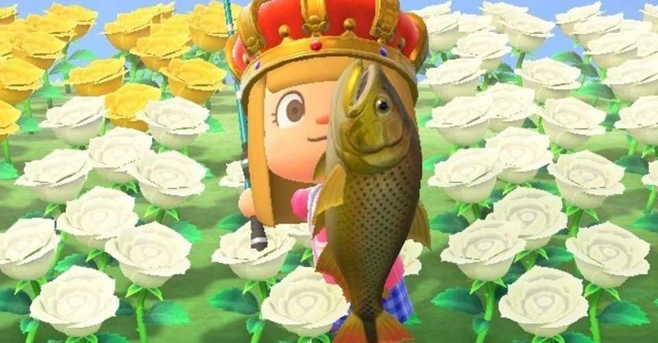 最近めっちゃハマってるやつ あつ森日記 04 じぇね坊 Note