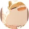 ねこもり@遊戯王専門担当　価値理解者