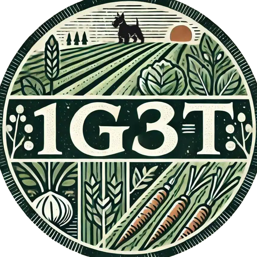 １Ｇ３Ｔ