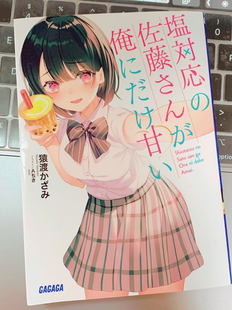好きなラノベの紹介的なアレ 塩対応の佐藤さんが俺にだけ甘い 篇 御子柴 流歌 Note 好きなラノベの紹介的なアレ 塩対応の佐藤さんが俺にだけ甘い 篇 御子柴 流歌 Note