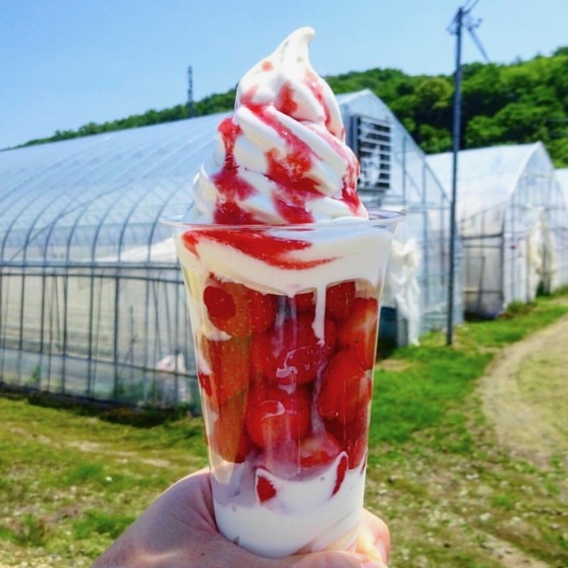 北海道 札幌市清田区から北広島 江別方面のソフトクリームガイド プロソフトクリーマー森川 Note 北海道 札幌市清田区から北広島 江別方面のソフトクリームガイド プロソフトクリーマー森川 Note
