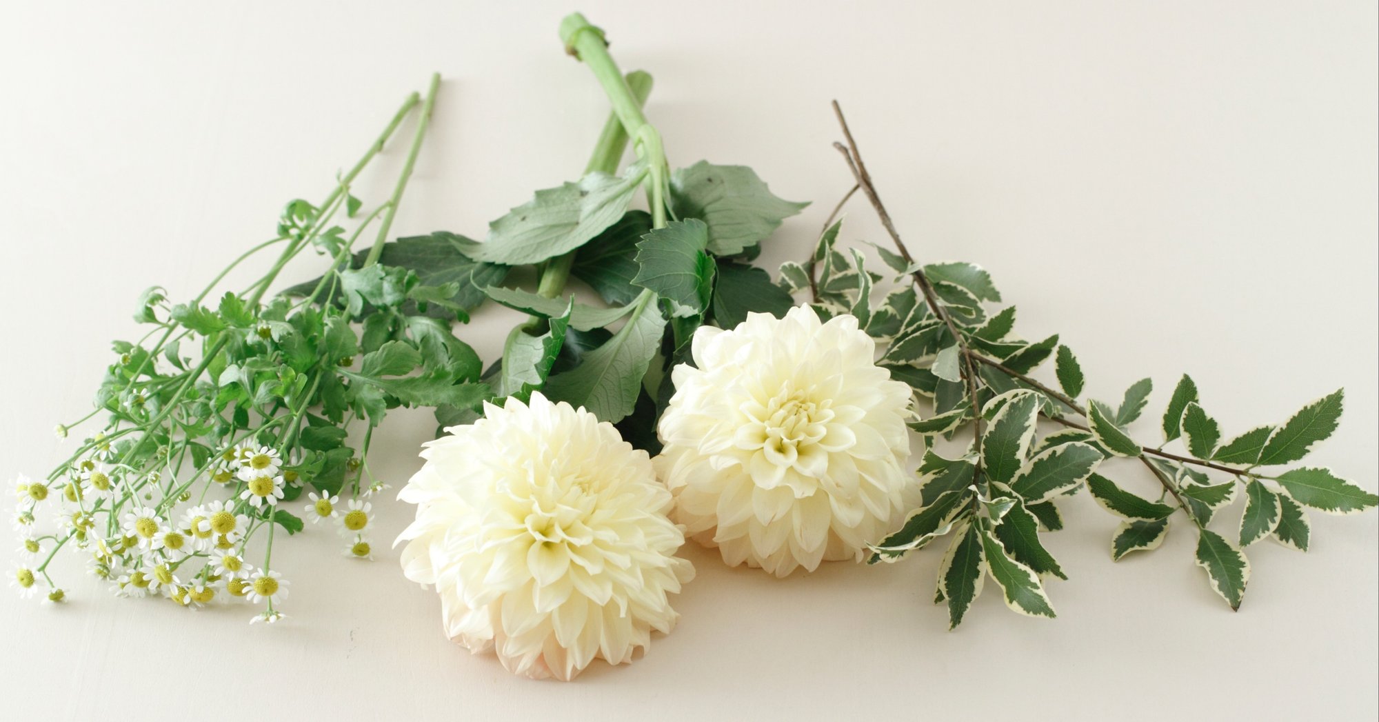 公開レッスン 吸水スポンジを使ってみませんか ダリア フローラルデザイナー 落合惠美 Hanaike はないけ Note 公開レッスン 吸水スポンジを使ってみませんか ダリア フローラルデザイナー 落合惠美 Hanaike はないけ Note