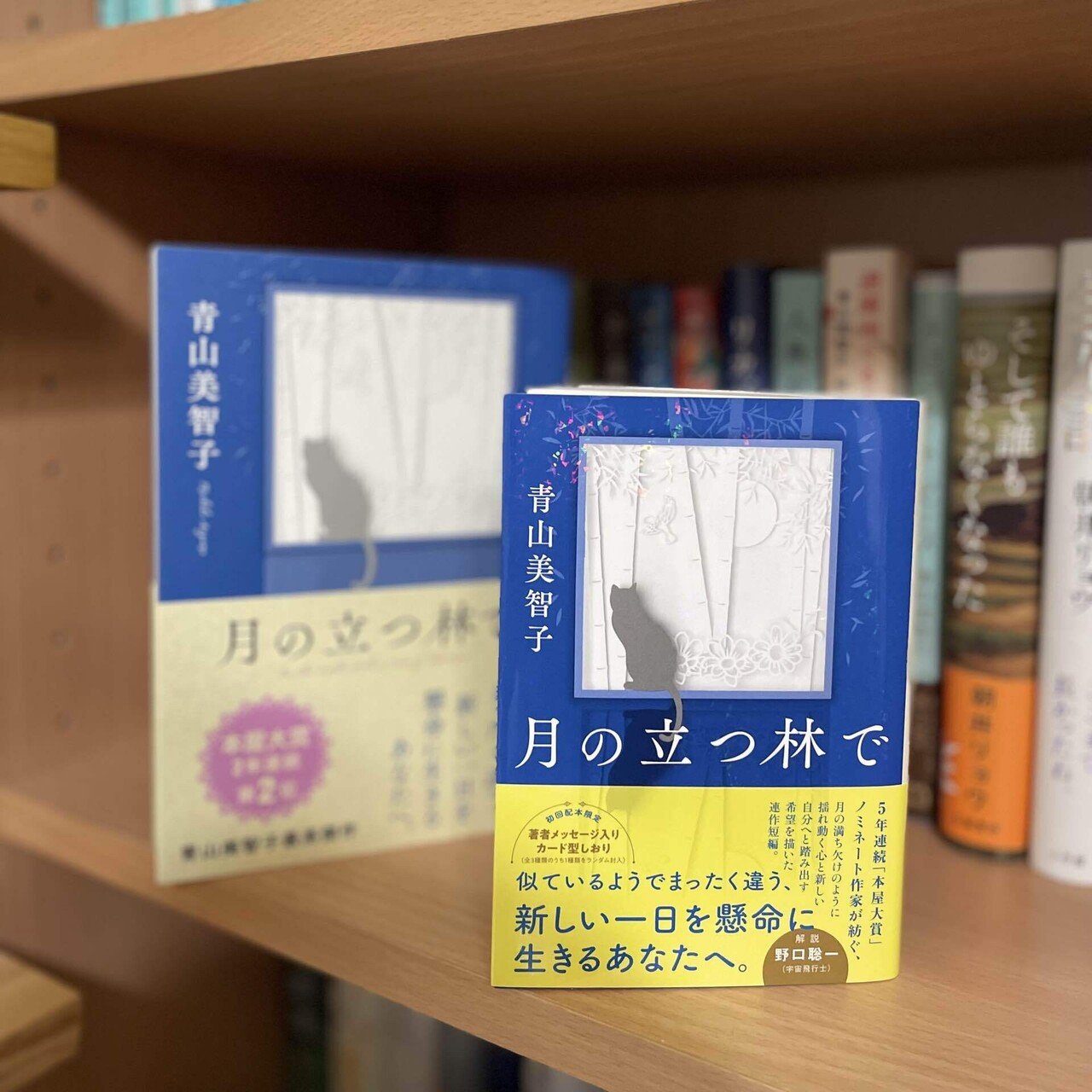青山美智子『月の立つ林で』――夜空とポッドキャストと、やさしい言葉