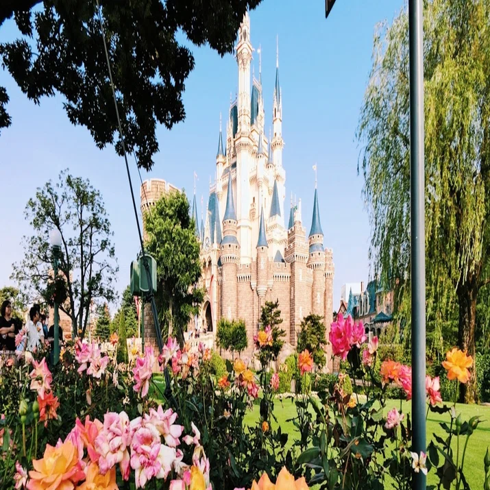 Dオタによる東京ディズニーランドの過ごし方 すーちゃん ビビリな一人旅好き Note