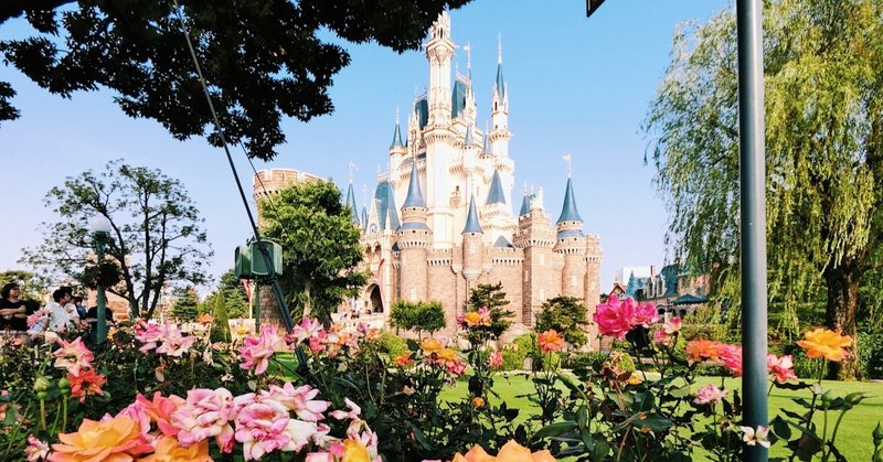 Dオタによる東京ディズニーランドの過ごし方 すーちゃん ビビリな一人旅好き Note