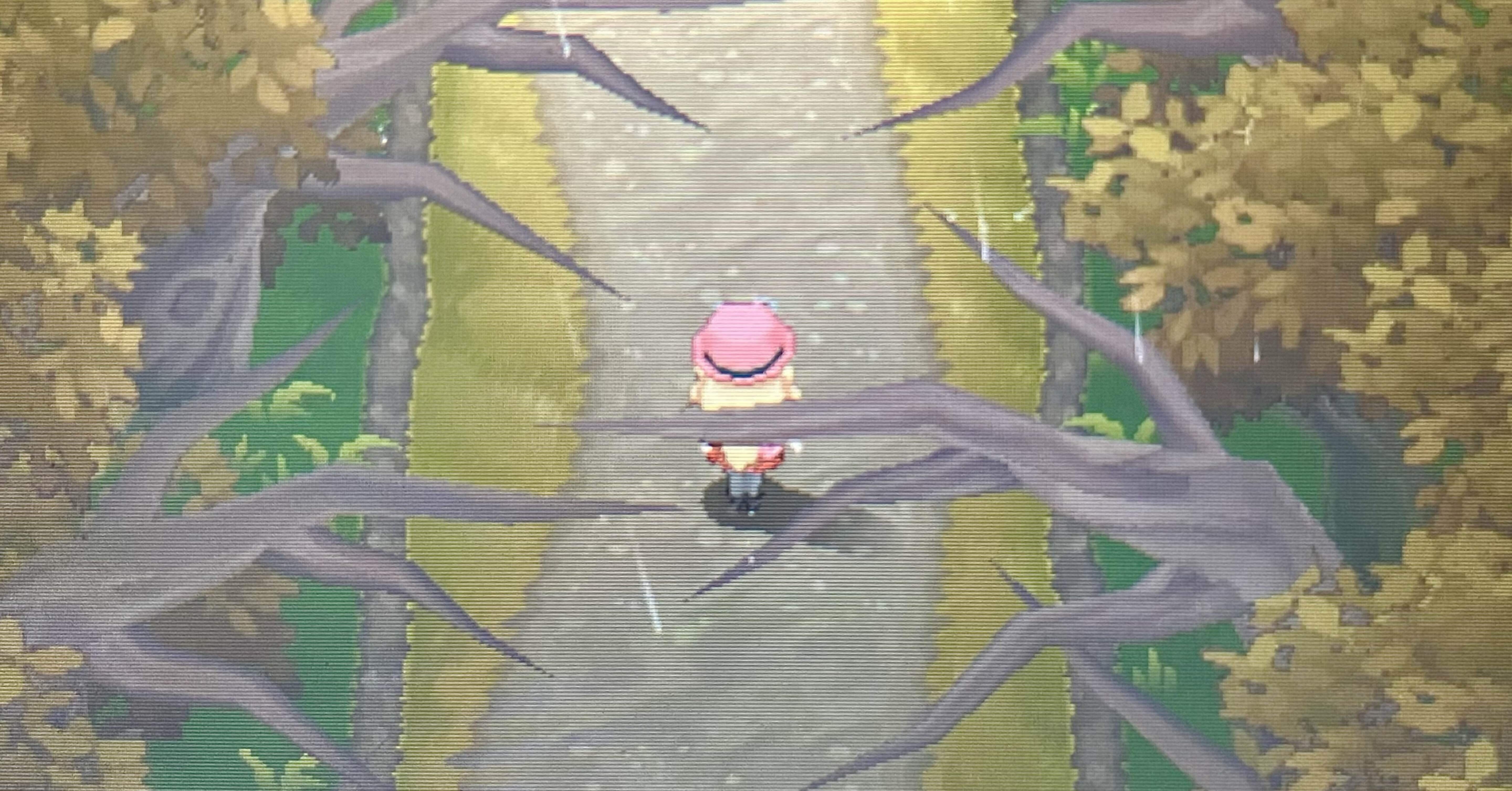 f0147074ff0e059602af1afe0cd0ad