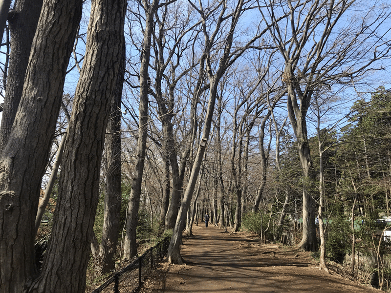 大きい一年生と小さな二年生 の武蔵野景色 はけ と野川のお散歩セラピー Note