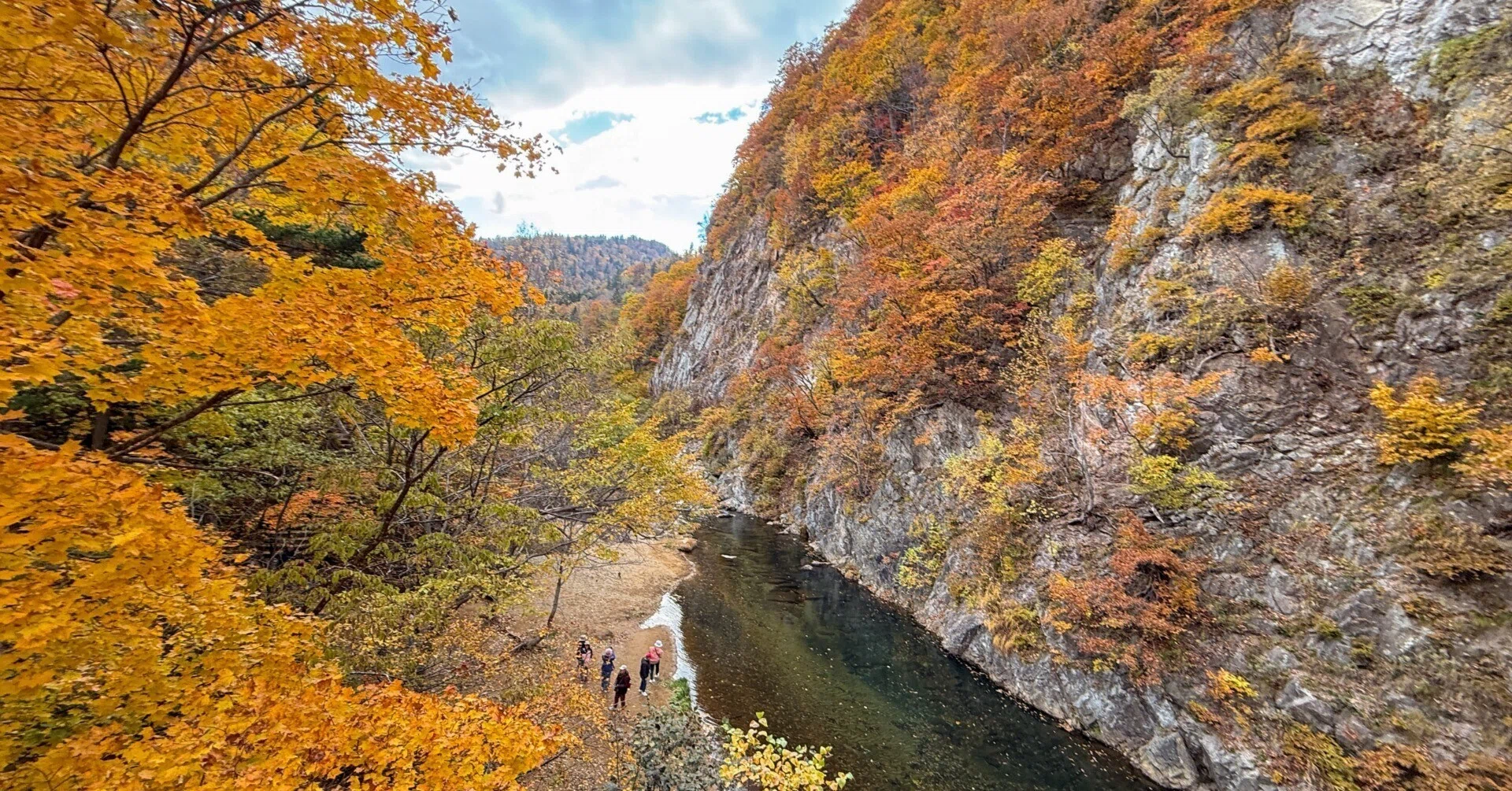 北海道・札幌】定山渓渓谷 二見吊り橋の紅葉散策 ― 森の謌スタッフが