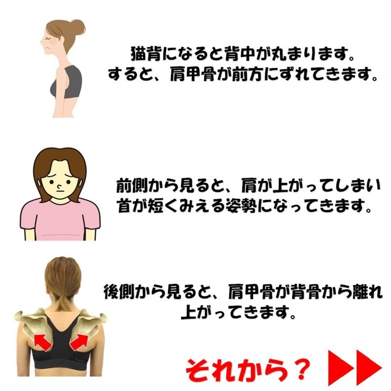鎖骨を出してキレイなデコルテを作りたい Revisionginza Note 鎖骨を出してキレイなデコルテを作りたい Revisionginza Note