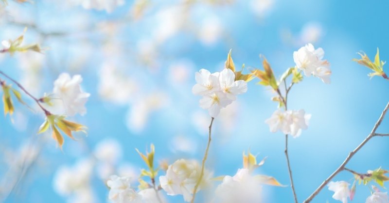 今だからこその 毎日やることリスト ゆいちき Note 今だからこその 毎日やることリスト ゆいちき Note