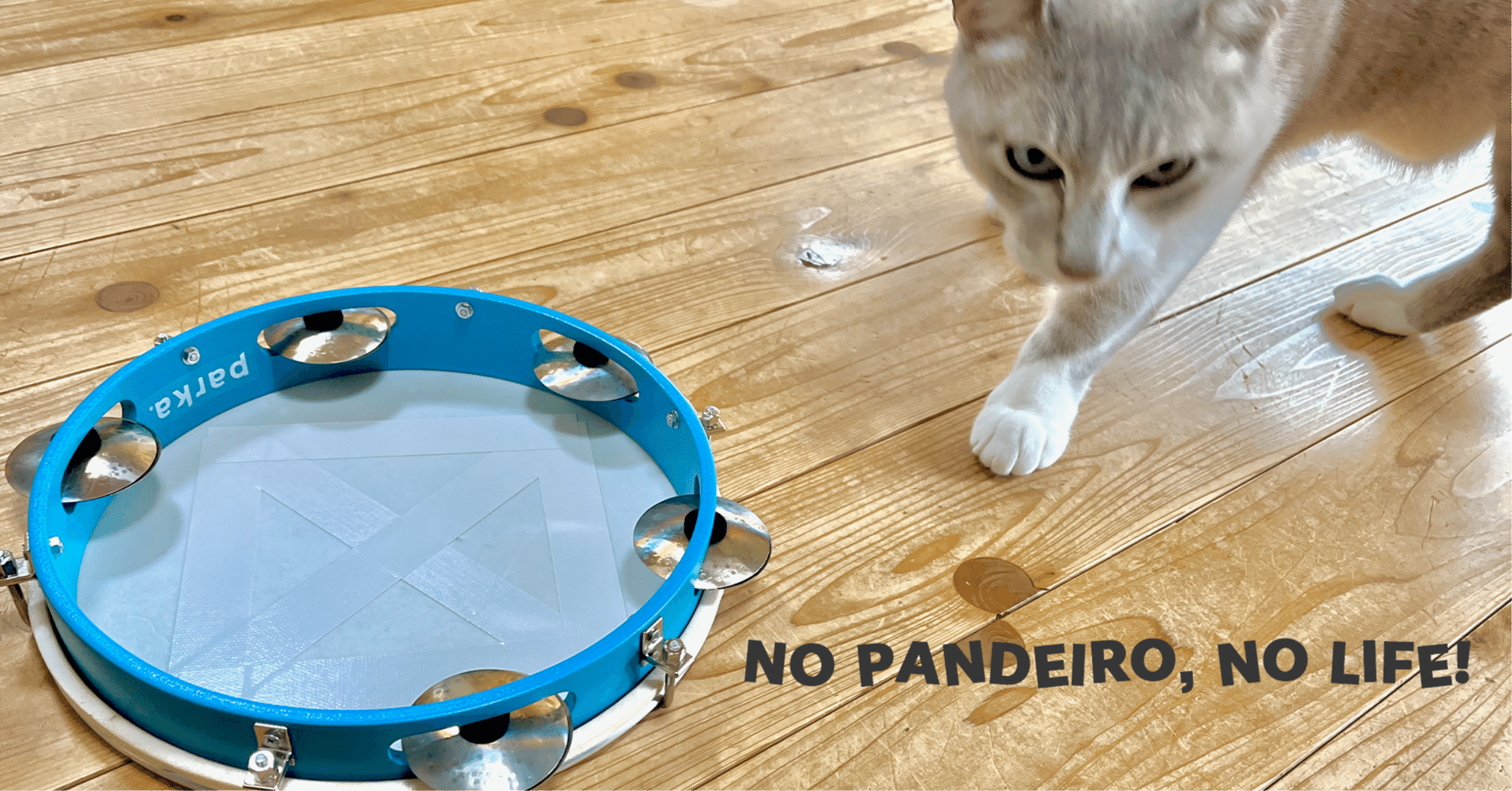 Parka パンデイロ　PD101 PARKA Handmade Percussion”工房へ行く！｜みたに あきかず 打楽人