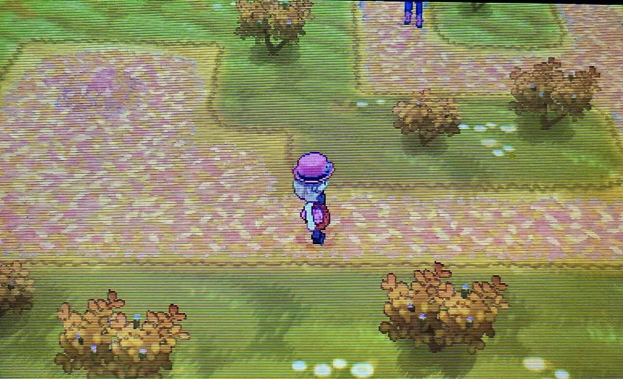 ポケモンXYでフランスについて学ぶ(15番道路〜フウジョウタウン)｜旅