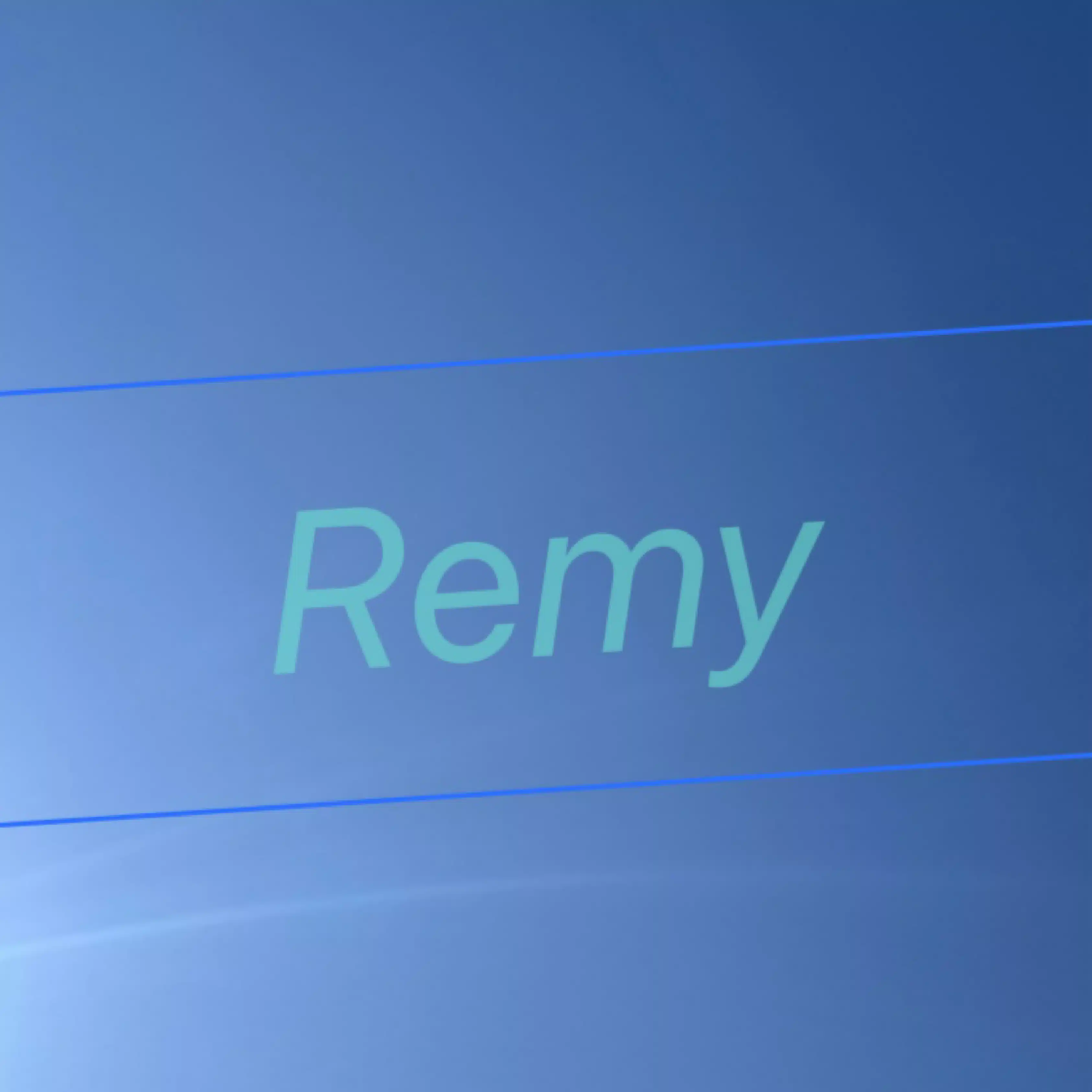remy031